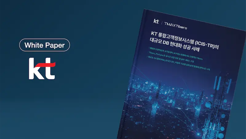 KT DB 현대화 사업 ICIS